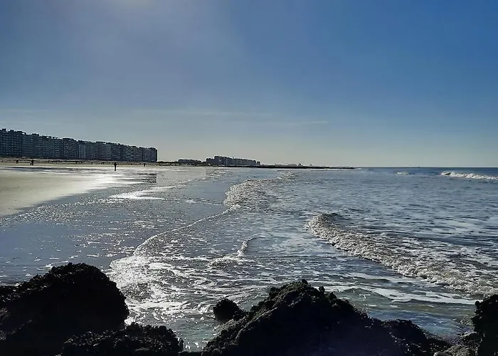 Zon, Zee En Ontspanning